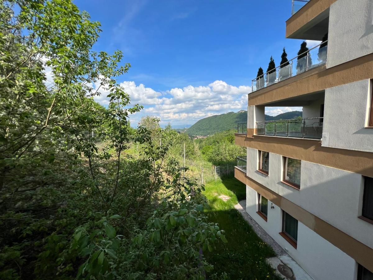 Coroni Studio With Jacuzzi Брашов Экстерьер фото