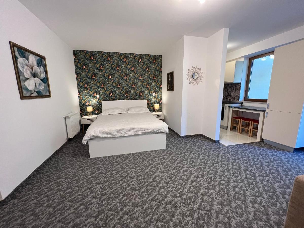 Coroni Studio With Jacuzzi Брашов Экстерьер фото